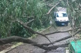 Ventos fortes mudam a rotina e fecham o Zoológico de Cascavel neste domingo