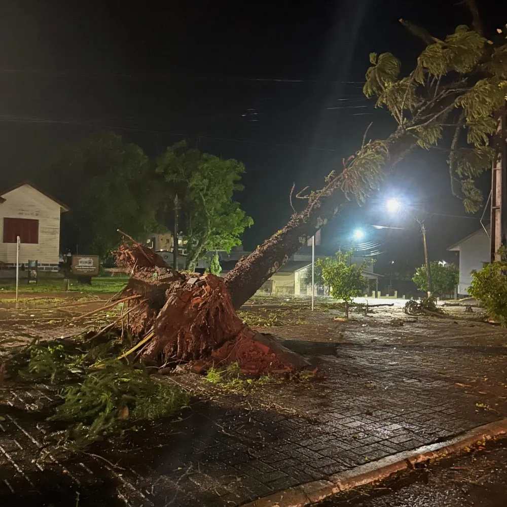 Temporal destelha casas e derruba árvores em Laranjeiras do Sul