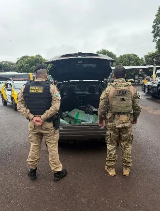 Carro apreendido em Toledo com 213 quilos e 500 gramas.de maconha