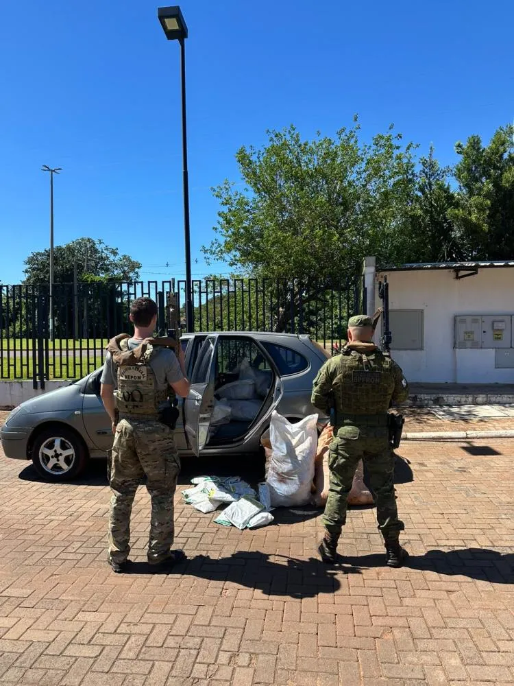 Policiais apreendem agrotóxicos paraguaios em Porto Mendes